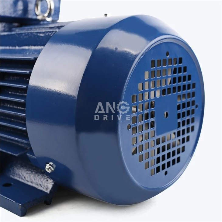 45KW Motor