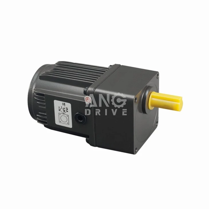 AC İndüksiyon DişliMotor